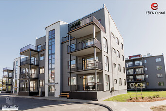 Десять причин, чтобы жить в проекте Bišumuiža