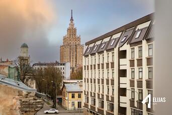 Реальность Маскачки: стереотипы, которые не выдерживают критики против реального рыночного спроса