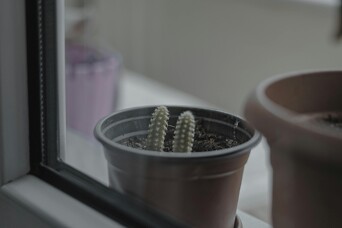 Rīgas mikrorajonos sērijveida dzīvokļu cenās joprojām nav būtisku izmaiņu