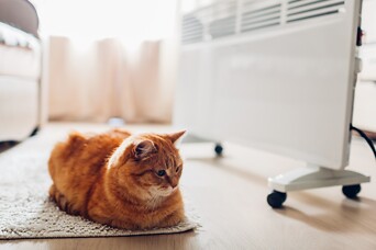 Kā mājokli sagatavot apkures sezonai?