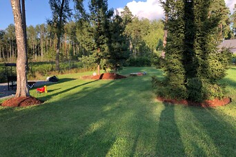 Par mauriņu, MI un robotiem: ieteikumi un tendences dārzkopībā