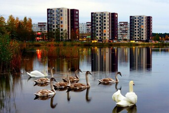Mājokļu pircējus aicina iepazīt projektus "Gaiļezera Nami" un "Trebū HOME"