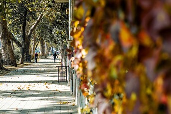 Oktobrī Rīgas sērijveida dzīvokļu cenās novērots lielākais cenu palielinājums šogad