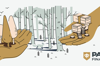 "PATA Finance" создает новую финансовую услугу – кредитная линия под залог леса или сельскохозяйственных земель