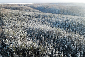 "Latio": цены на сельскохозяйственные земли с 2005 года выросли в 20 раз