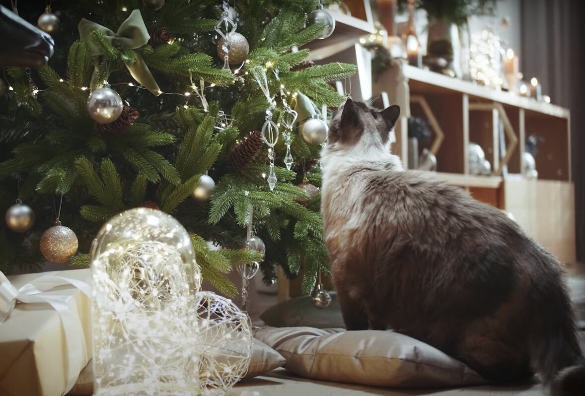 Незабываемое Рождество в новом доме: в последнюю квартиру в Riverstone Residence можно заселиться еще до праздников