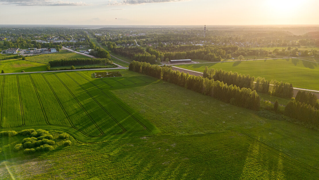 Zeme — Bērzāju iela 2, Sigulda, Sigulda